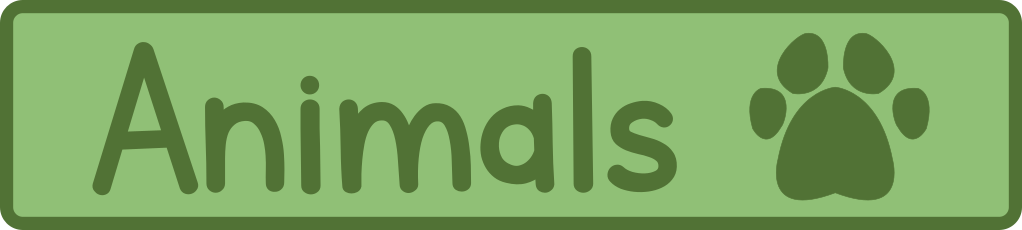 Animal Printables