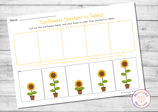 Shortest to tallest sunflowers - summer growing up theme height sorting worksheet for kindergarten and first grade