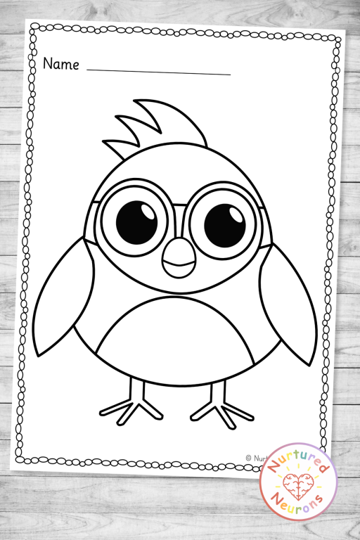 Simple Blue Jay coloring page for kids - cute bird day coloring sheet download and printable pdf