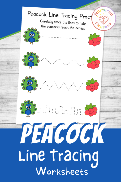 peacock themed line tracing - writing practice for preschool and kindergarten for indian animals topics