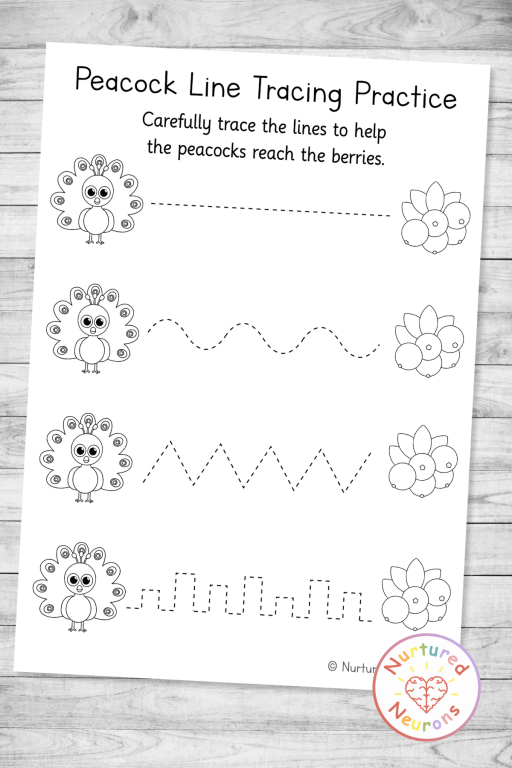 trace and color worksheet with peacock theme for preschool, toddlers and kindergarten kids