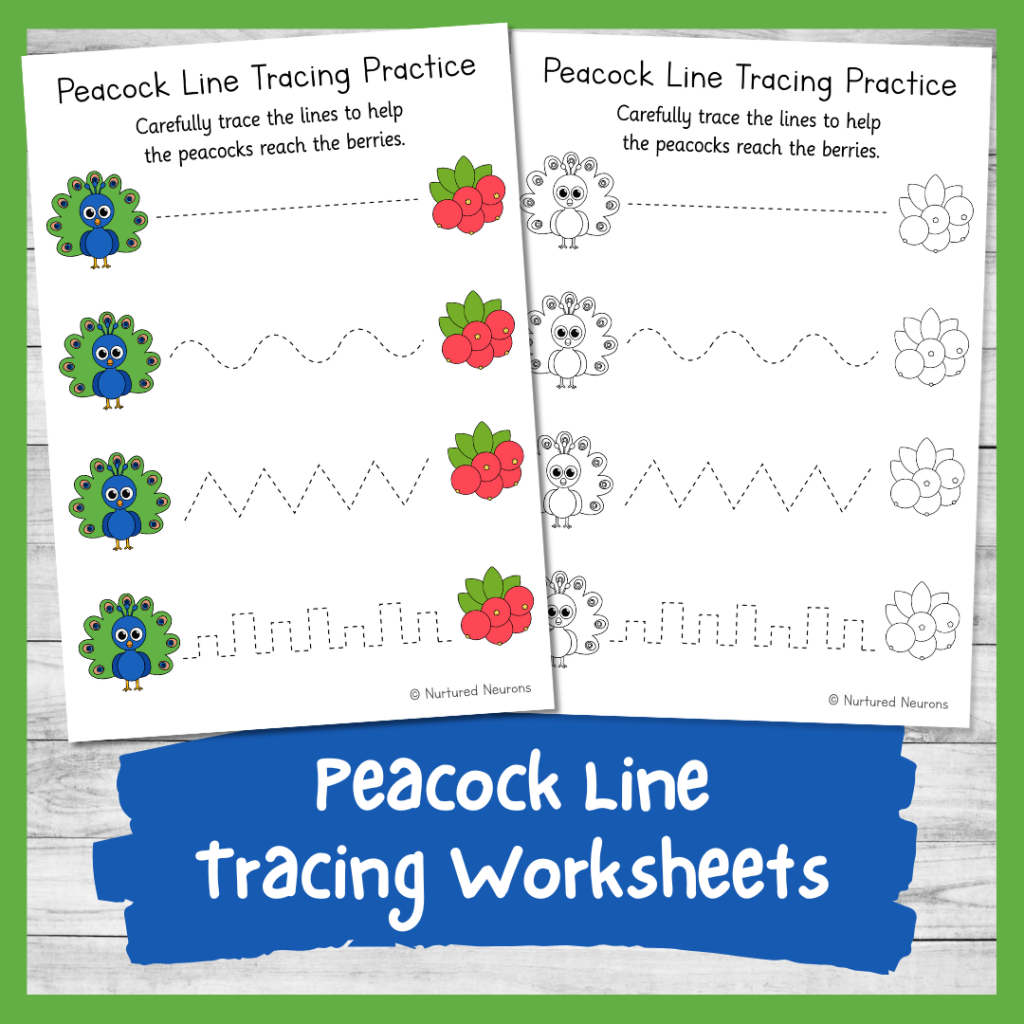peacock tracing practice worksheet for kids - printable prewriting page