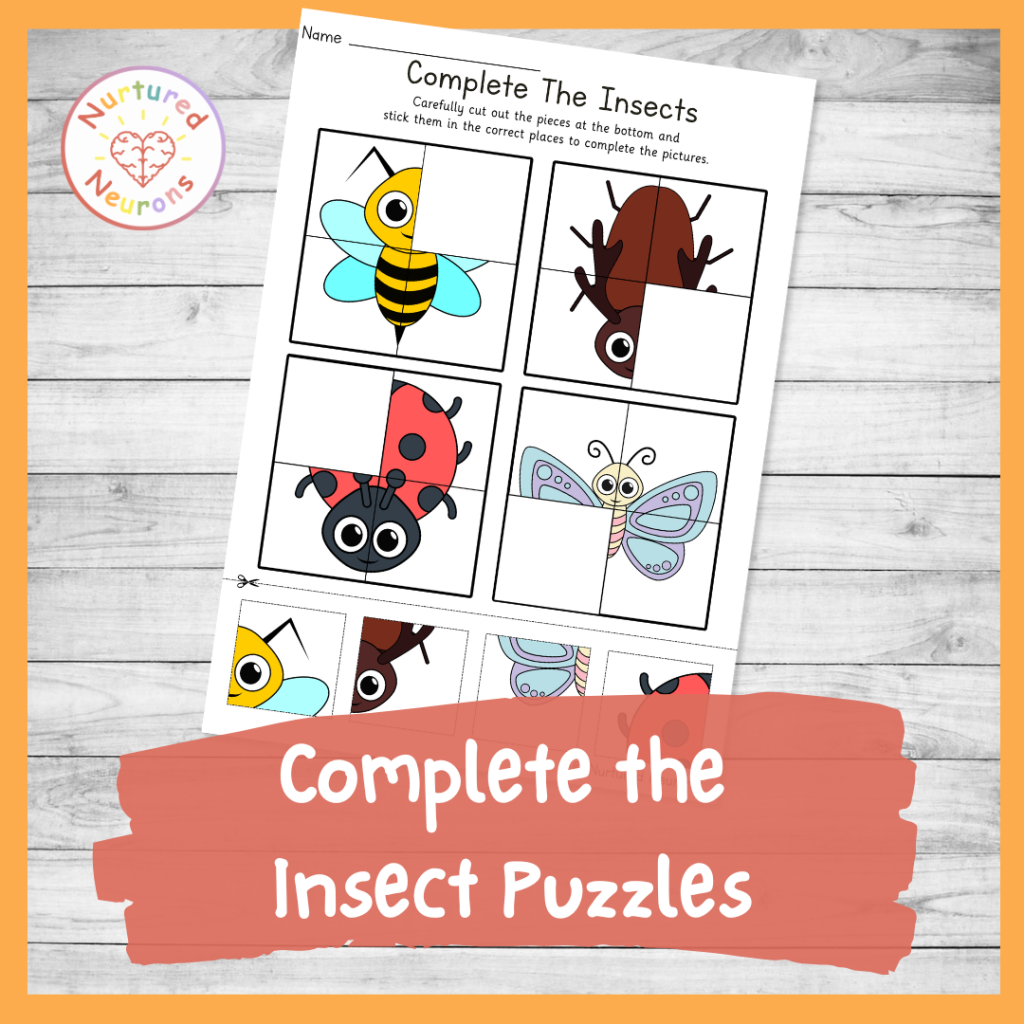 complete the insect puzzles - minibeast themed cutting worksheet for preschool and kindergarten and first grade
