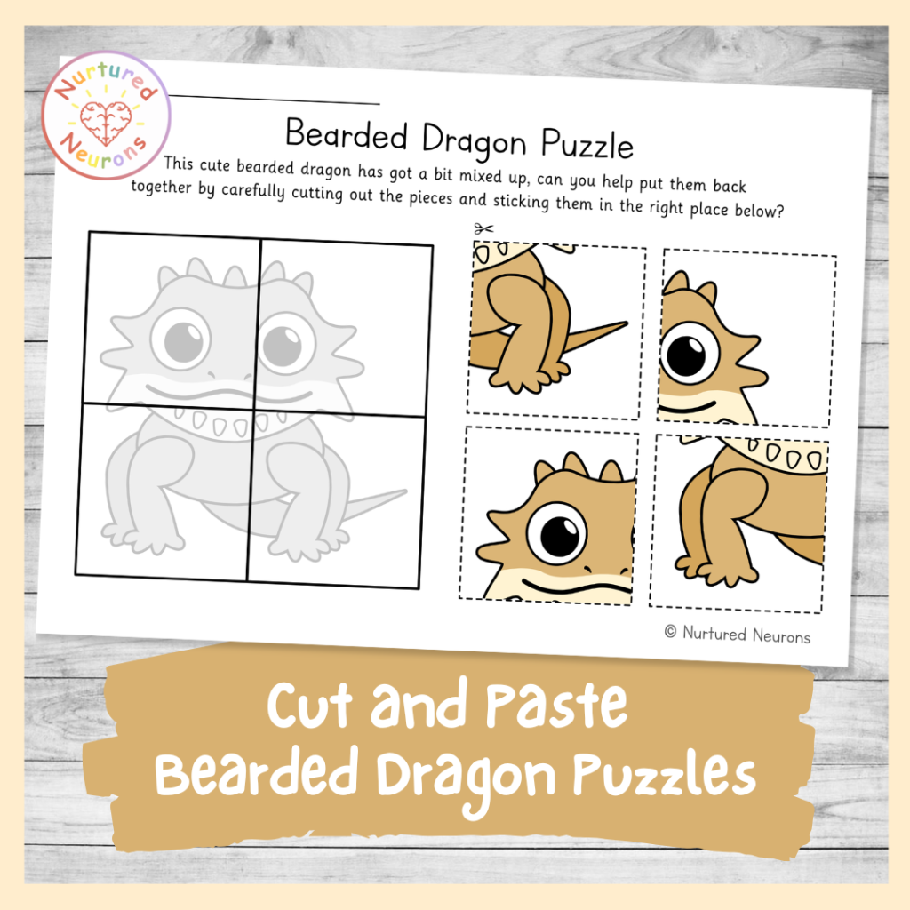 Cut and Paste bearded dragons Puzzles (preschool and kindergarten national reptile awareness day theme worksheet)