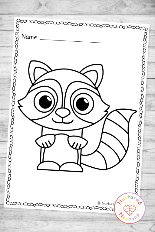 Simple raccoon coloring page for kids - cute north america animal coloring sheet download and printable pdf