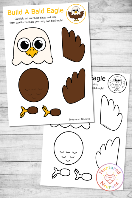 cute bald eagle templates - simple cut and paste bird craft (preschool and kindergarten pdf)